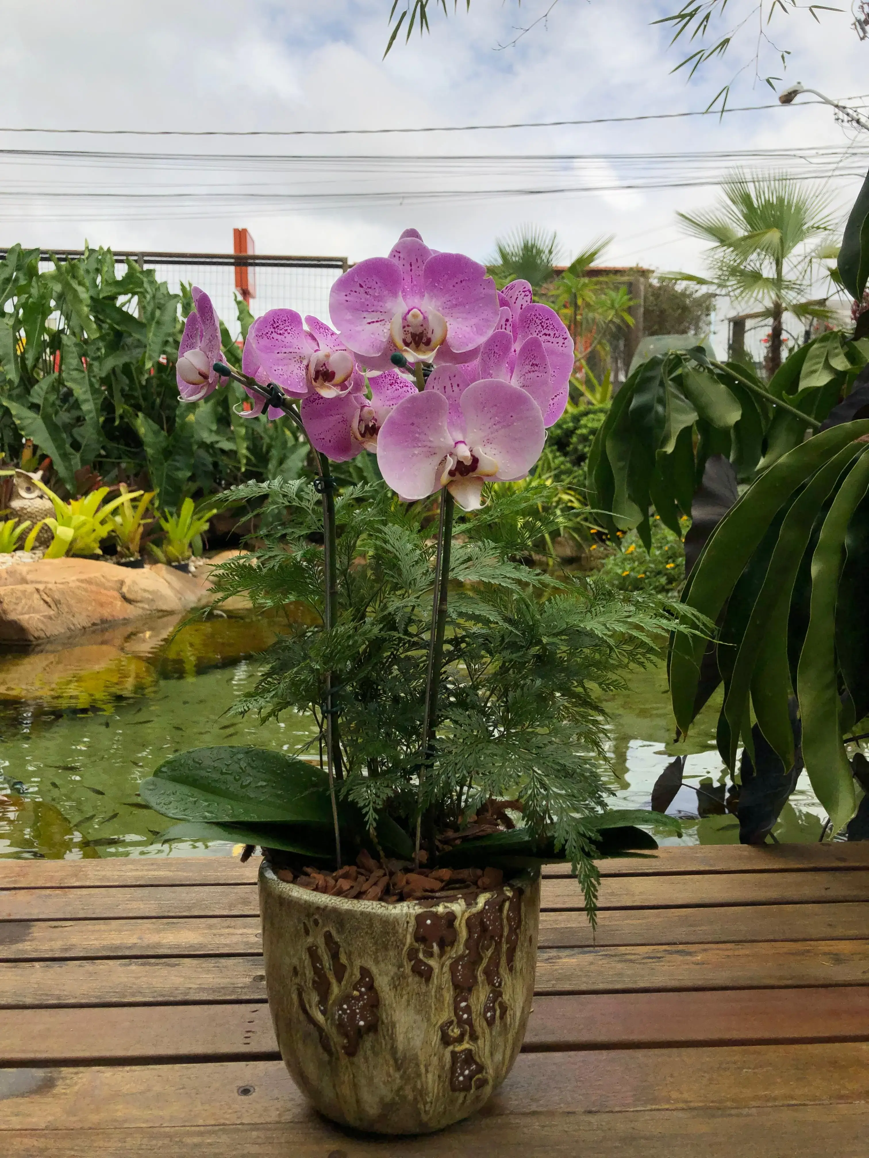 Arranjo de flores coloridas para ocasiões especiais