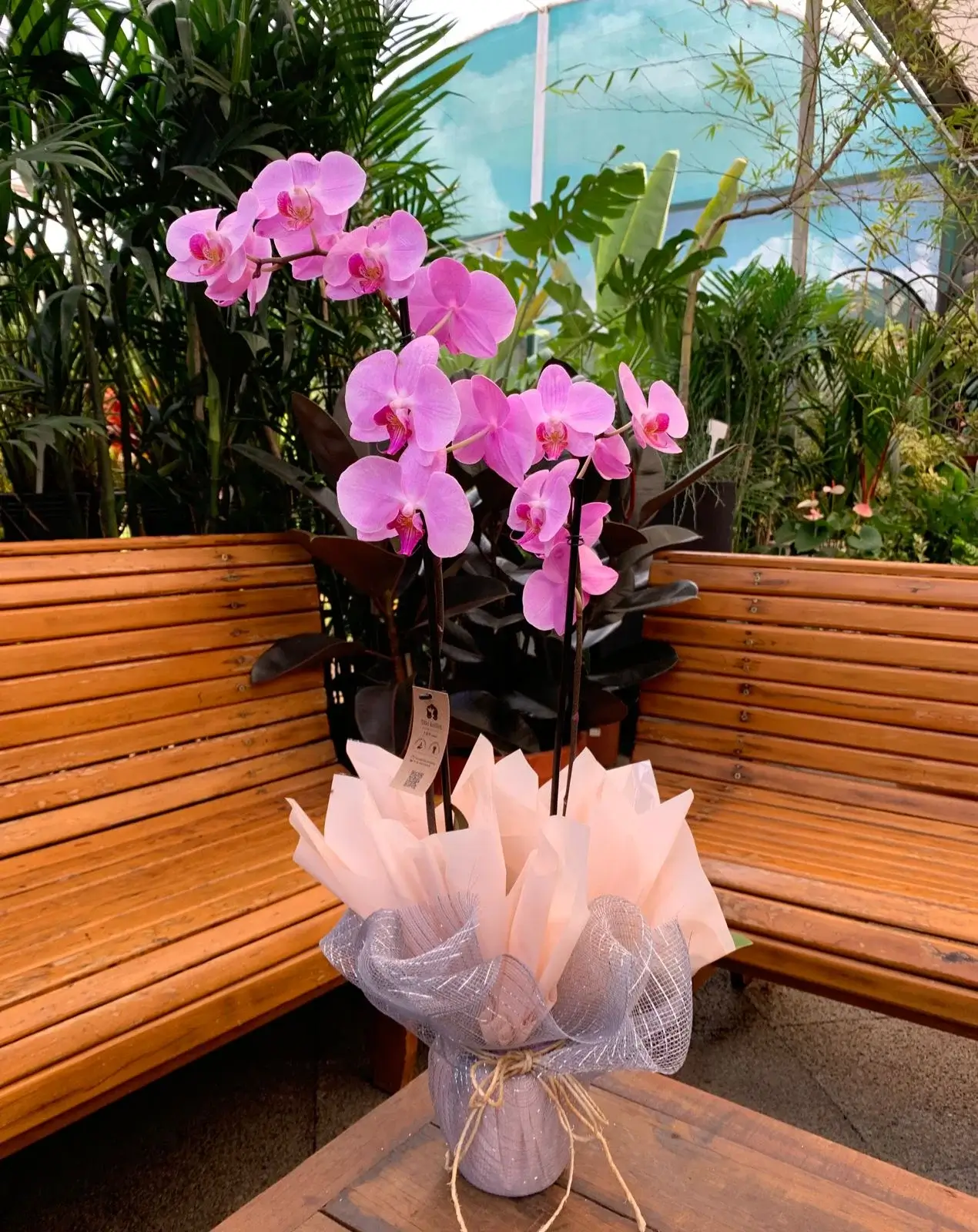 Arranjo de flores frescas