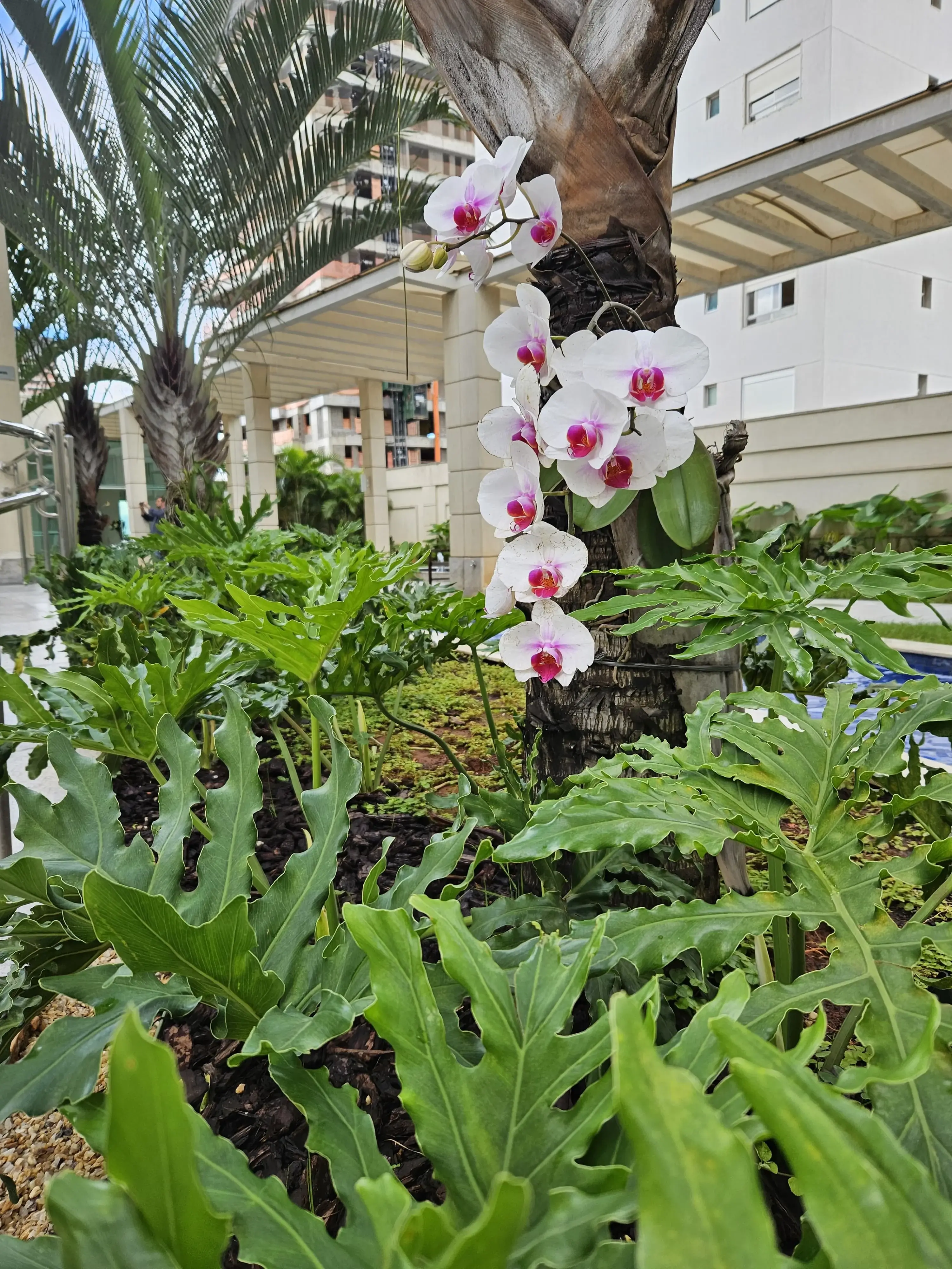 Área externa com paisagismo integrado e plantas ornamentais