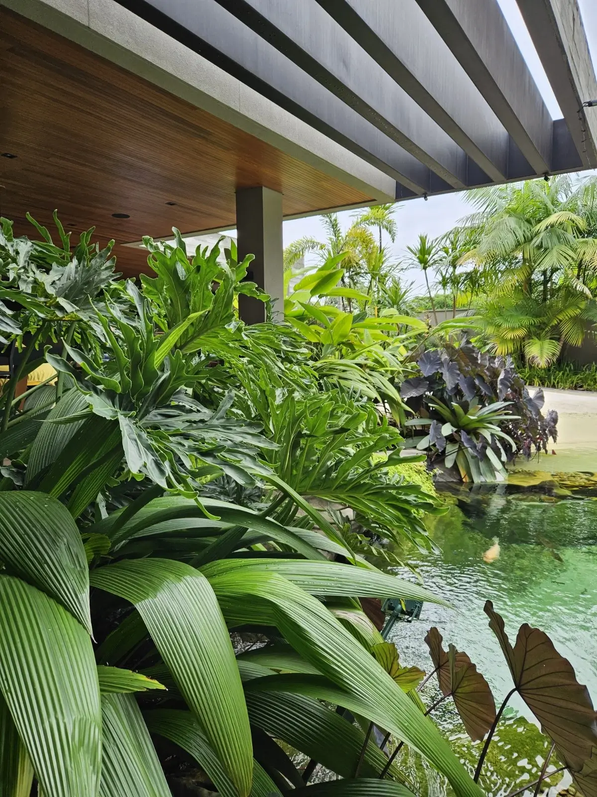 Área de lazer com paisagismo integrado e plantas