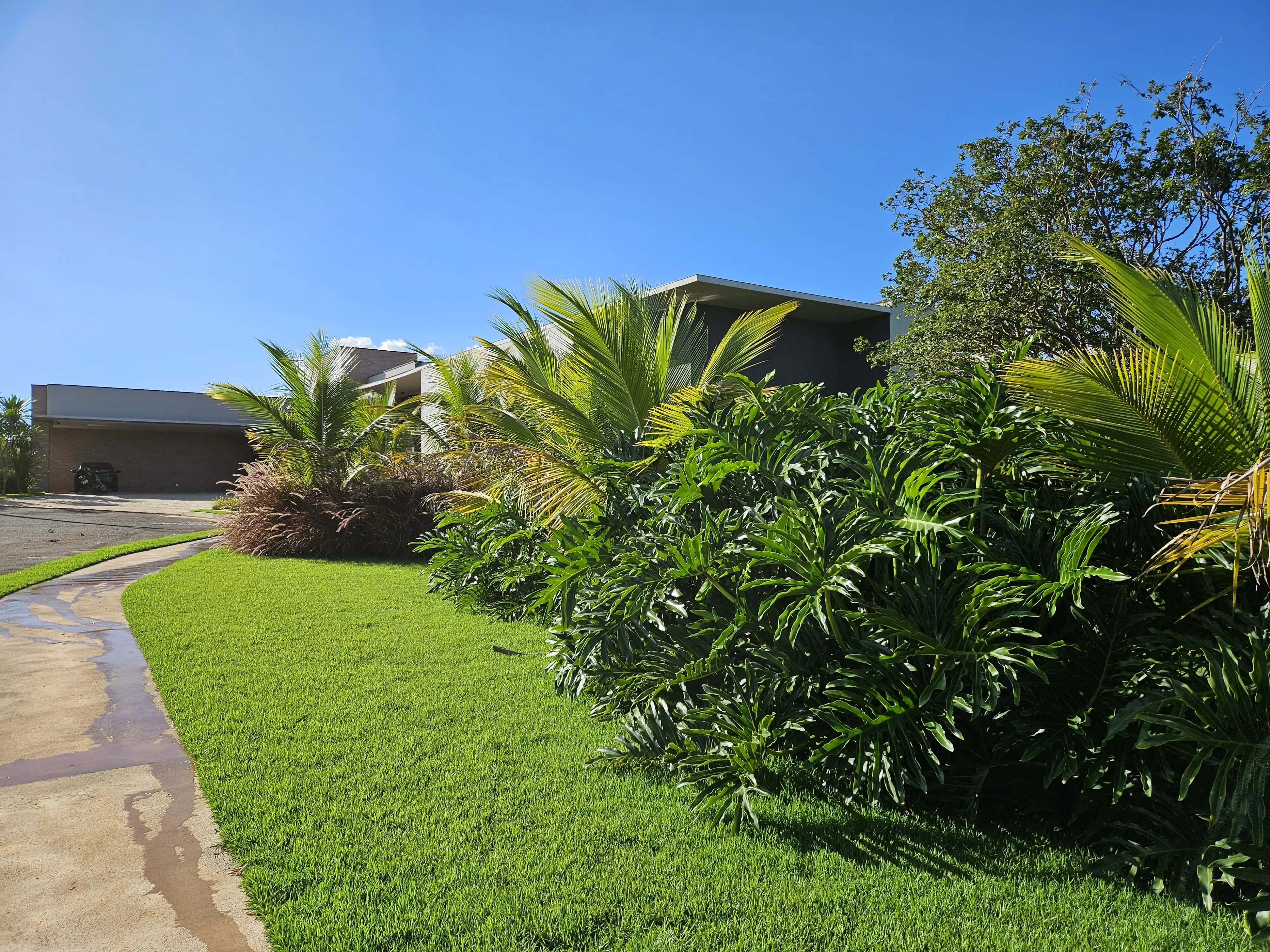 Paisagismo corporativo para empresas e escritórios