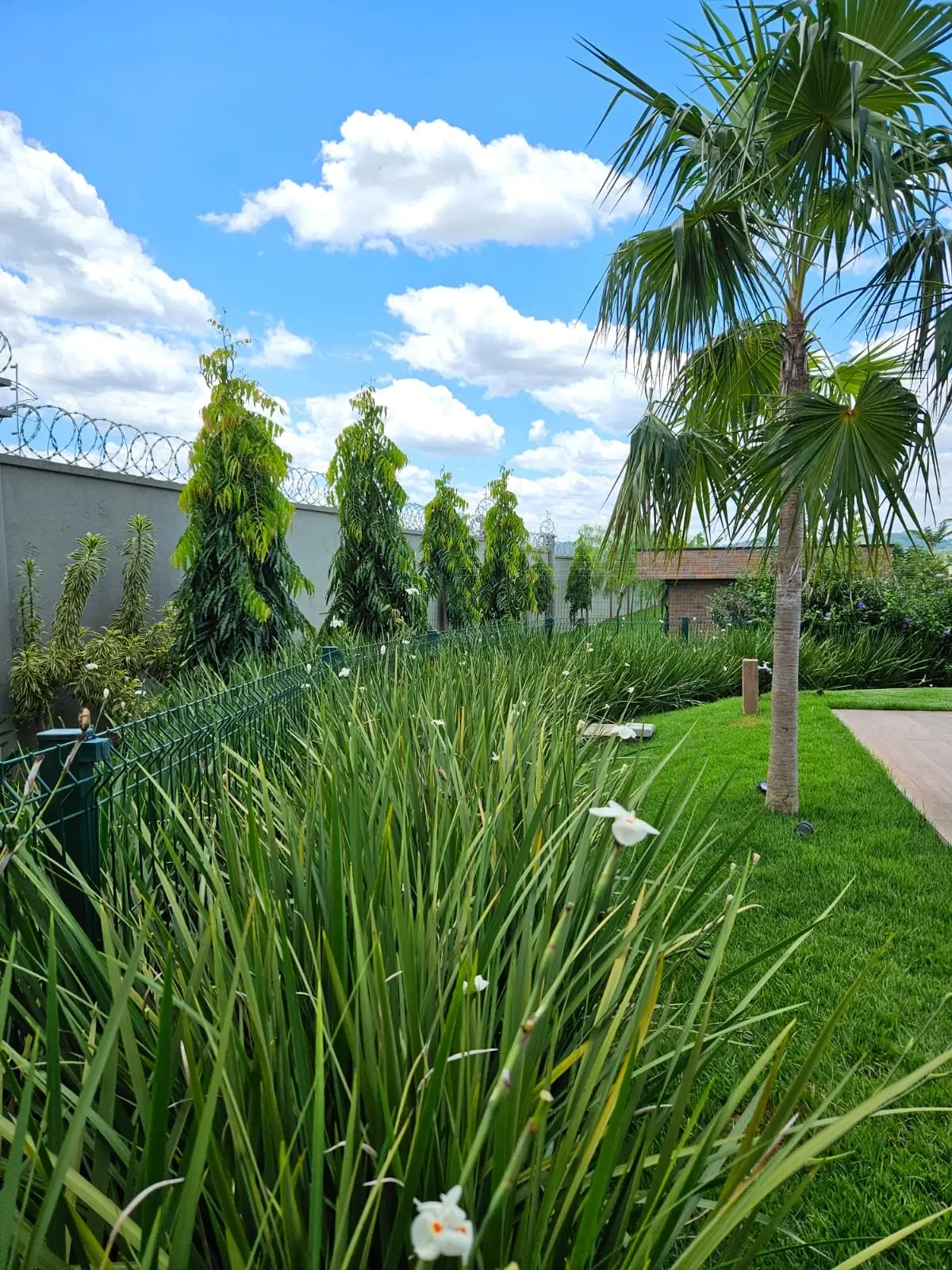 Paisagismo na entrada de residência com plantas ornamentais