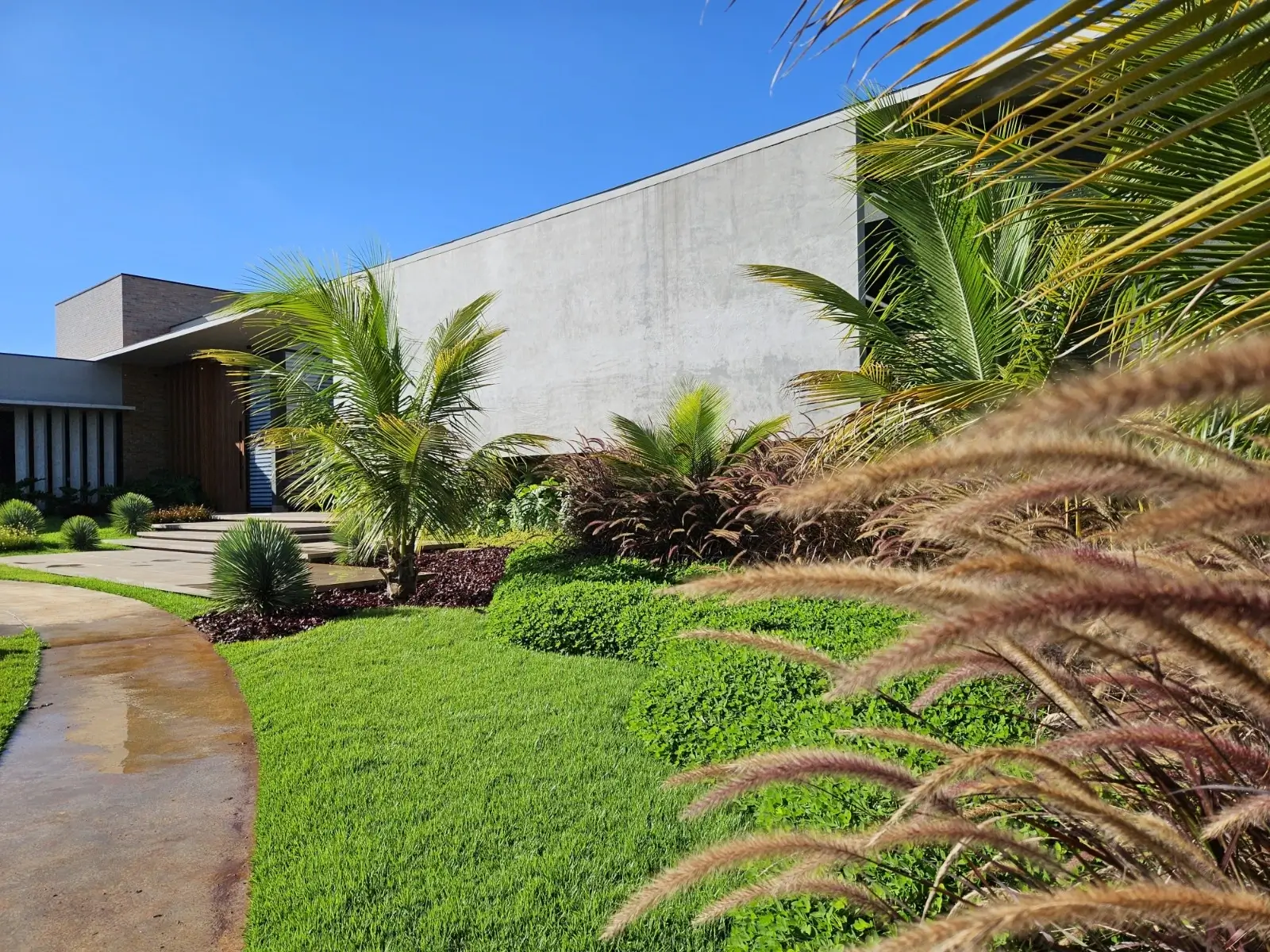 Paisagismo corporativo em escritório moderno