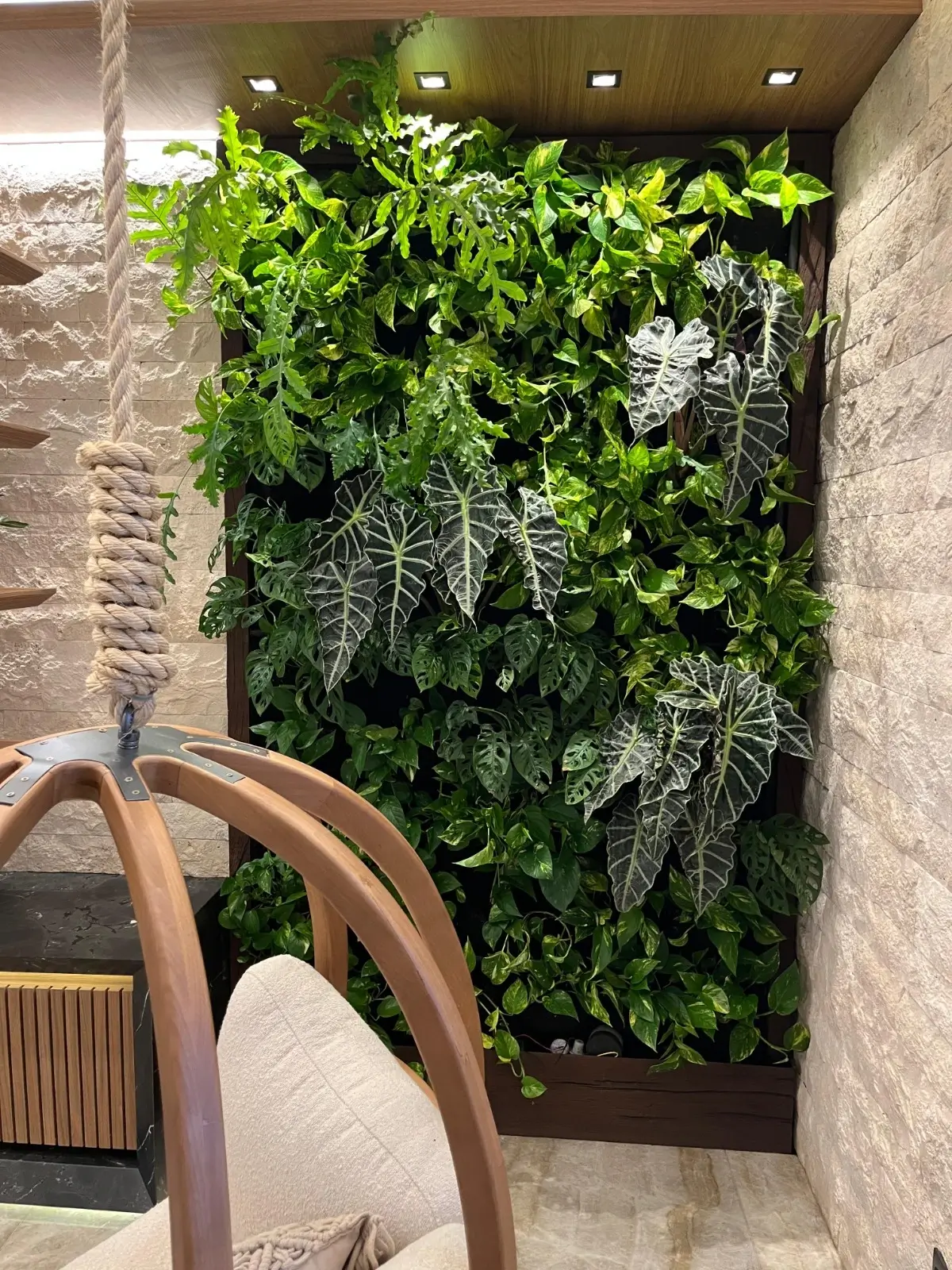 Paisagismo em varanda externa com plantas e decoração