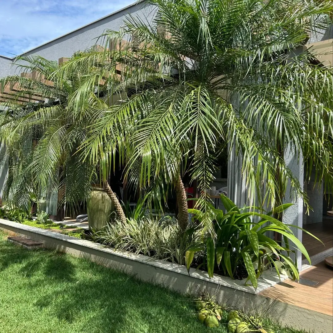 Projeto completo de paisagismo residencial com plantas e decoração