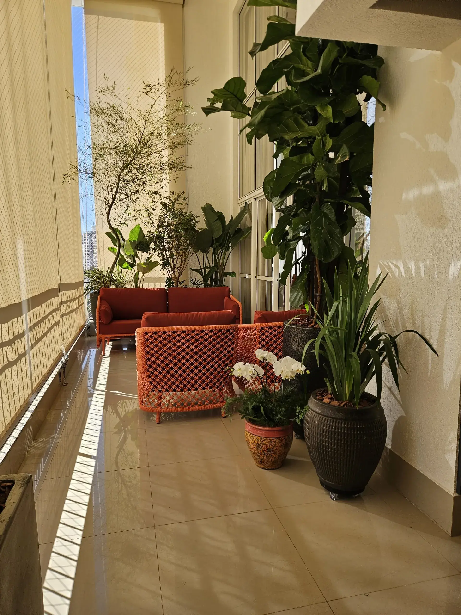 Palmeira leque sob luz recessada