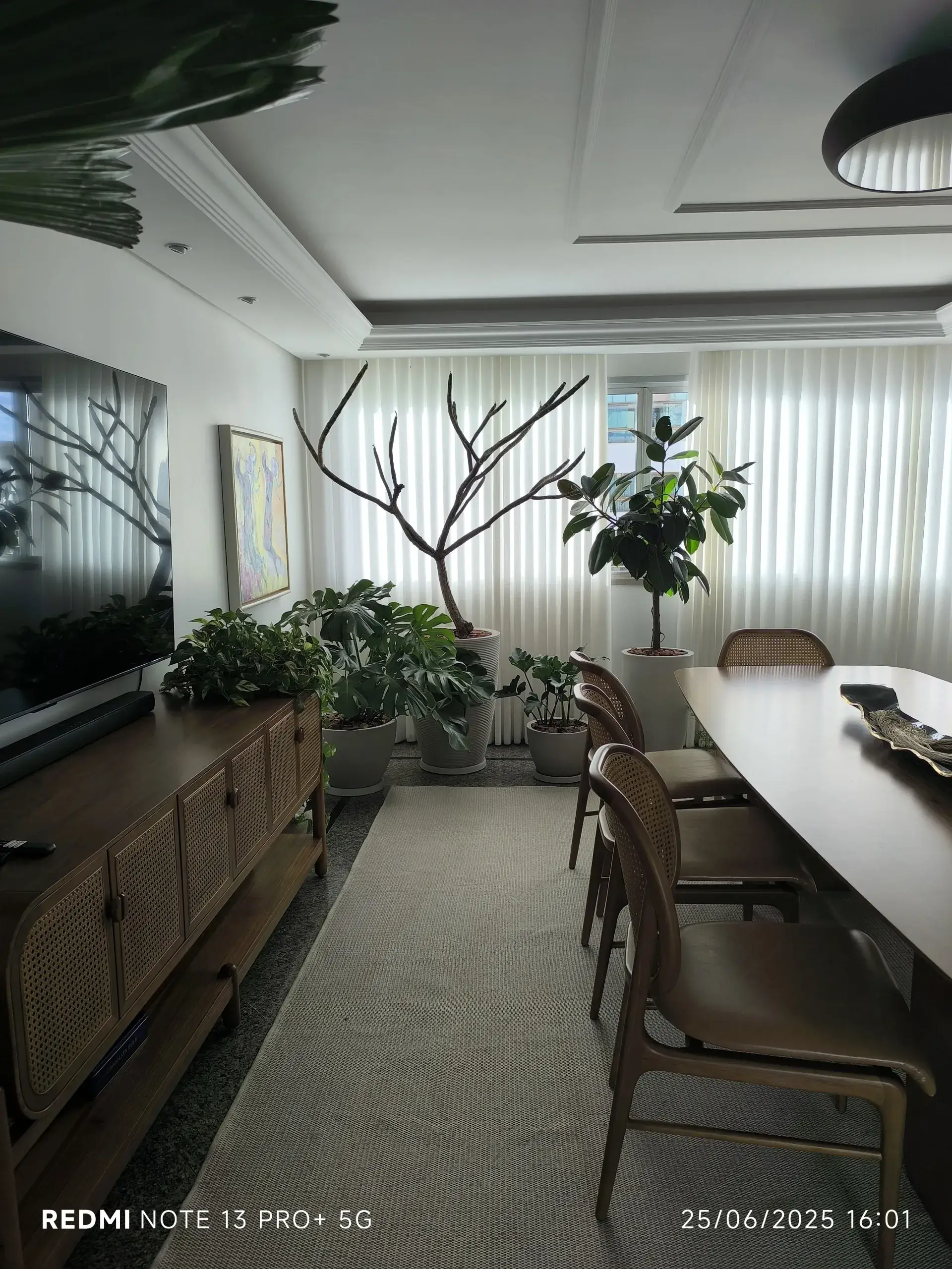 Plantas tropicais e janela noite