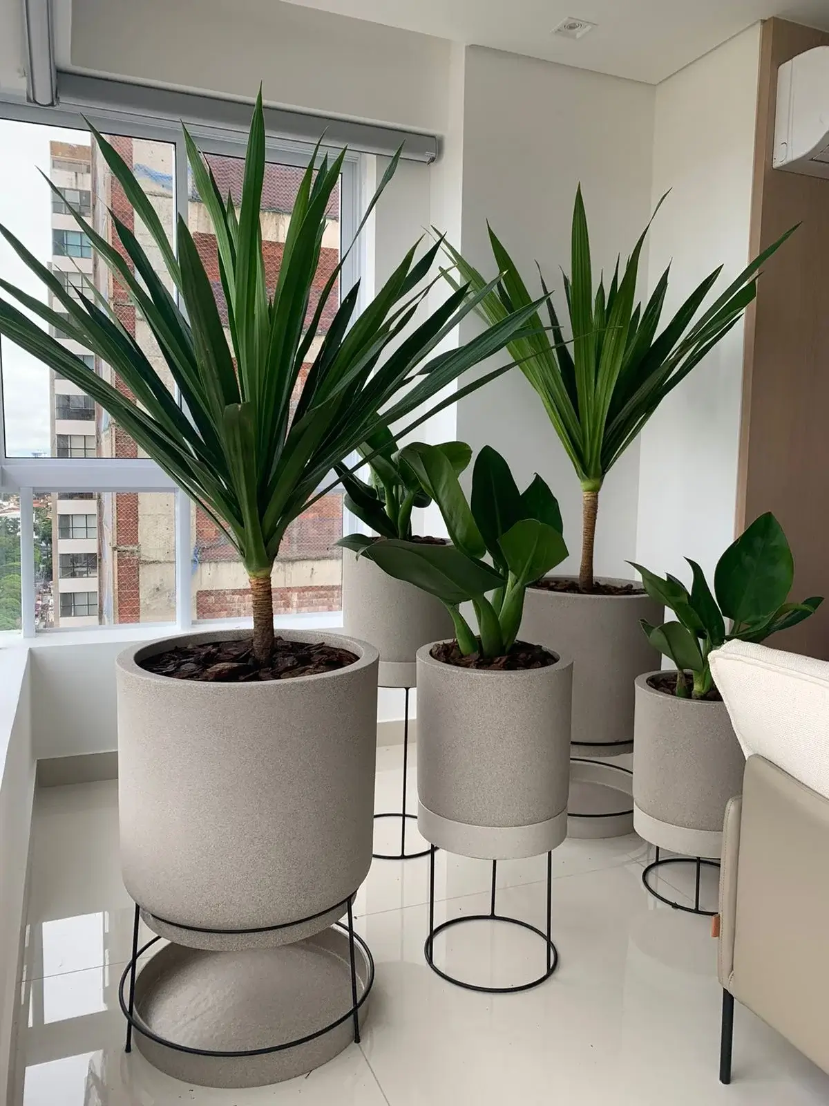 Vasos decorativos em diferentes tamanhos