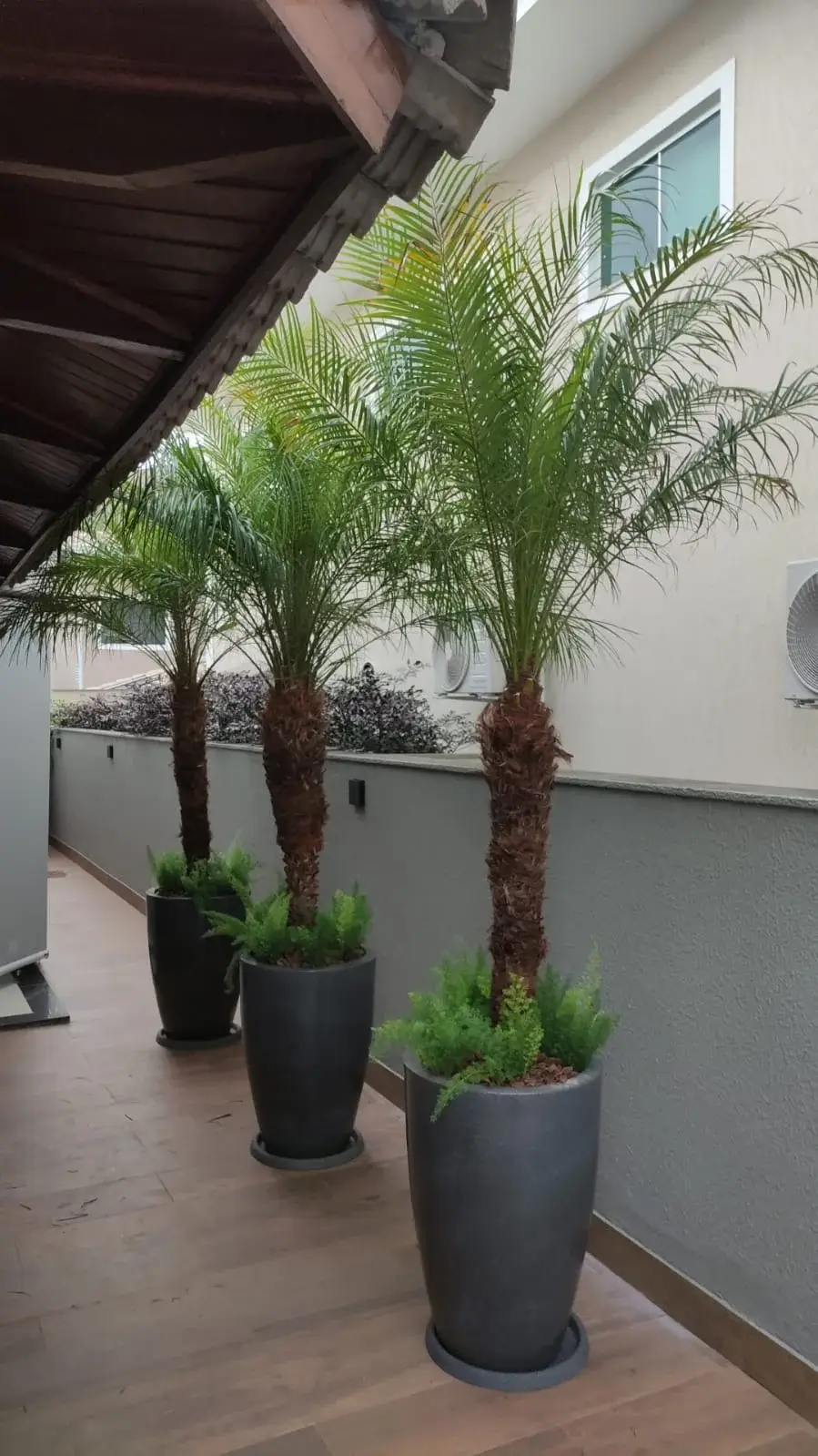 Vasos de diferentes tamanhos