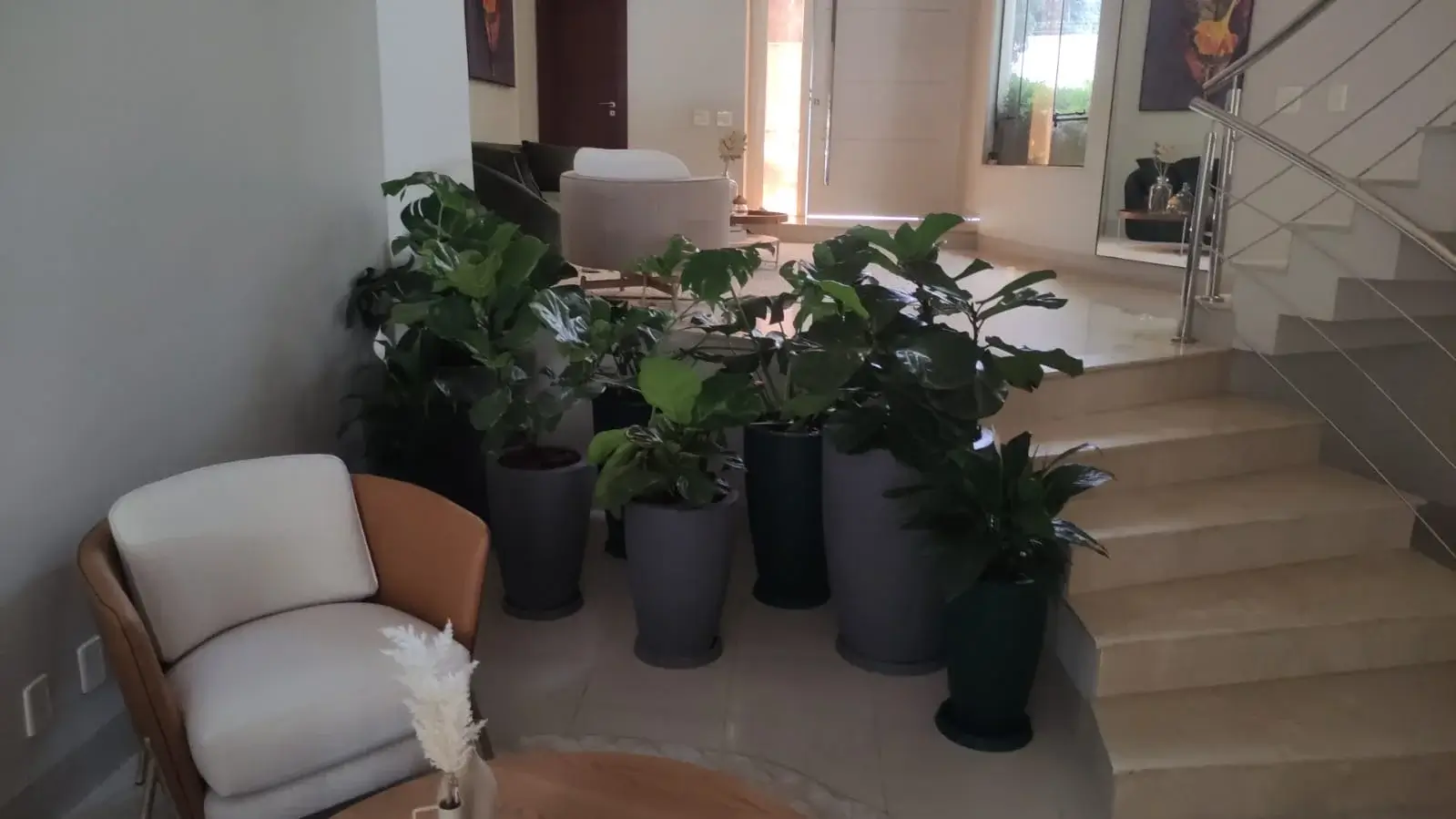 Vasos grandes para ambientes amplos