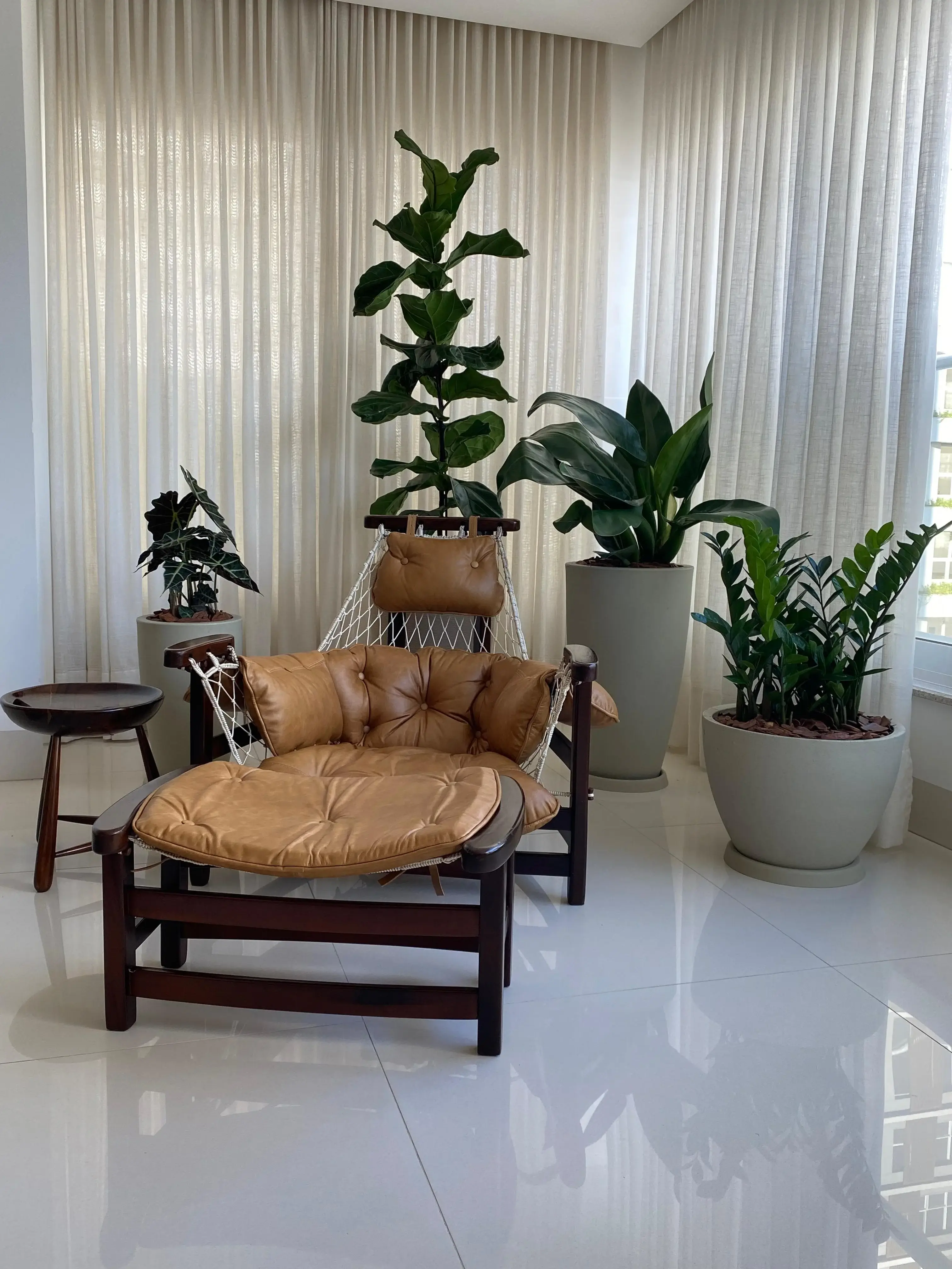 Vasos com plantas ornamentais